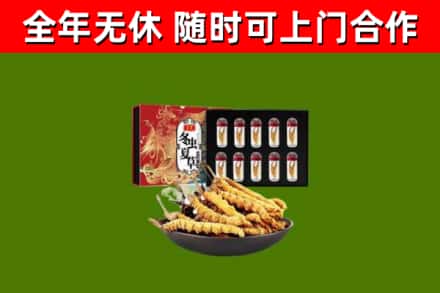 华亭市回收冬虫夏草价格